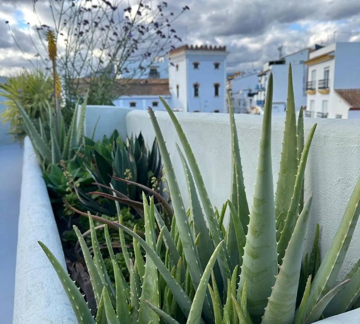 Romantic Rooftop Apartment With Stunning Sea And Mountain Views Marbella
